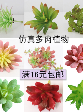 仿真多肉植物散件假花多肉塑料绿色盆栽DIY材料假多肉植物景观