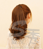 Extension cheveux - Chignon - Ref 249007 Image 11