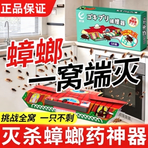 日式蟑螂屋捕捉贴强力粘屋全窝端