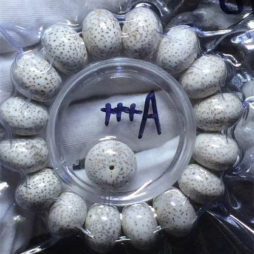 男女款算盘珠文玩手链星月菩提