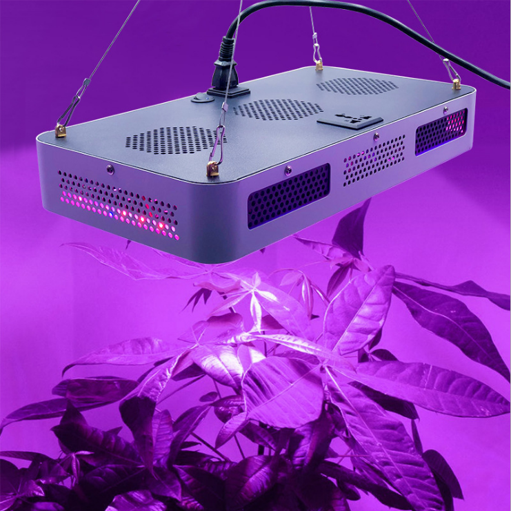 1200W全光普植物灯欧美大棚植物补光灯蔬菜多肉花卉育苗补光灯