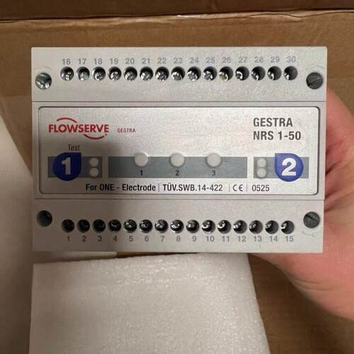 NRS 1-50水位限制器Gestra Flowserve工业控制配件议价维修