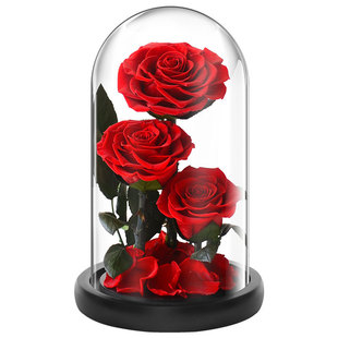 520情人节永生花玫瑰玻璃罩礼盒结婚纪念送老婆女友生日礼品摆件