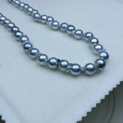 7-8强光鸭嘴真多麻