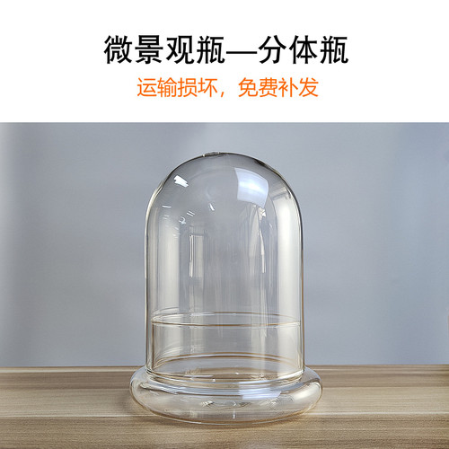 高硼硅玻璃分体瓶苔藓微景观花盆