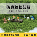 仿真丝状苔藓草皮假青苔微景观装 饰盆景铺面造景入门展示柜铺底