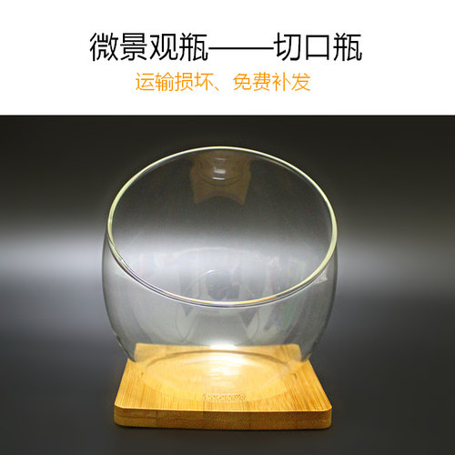 切口玻璃瓶多肉苔藓微景观瓶