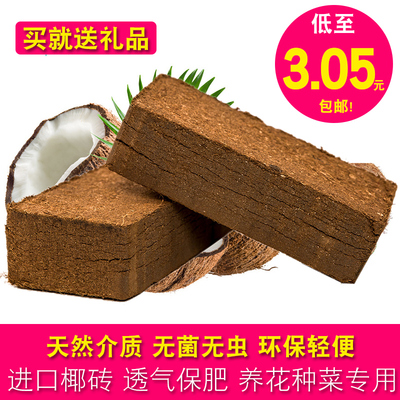 进口椰砖椰土椰糠椰粉砖650g种菜种植土无菌兰花土营养土爬宠垫材