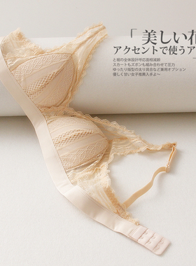 蕾丝性感小胸三角杯100桑蚕丝内衣真丝文胸薄款透气少女无钢圈bra