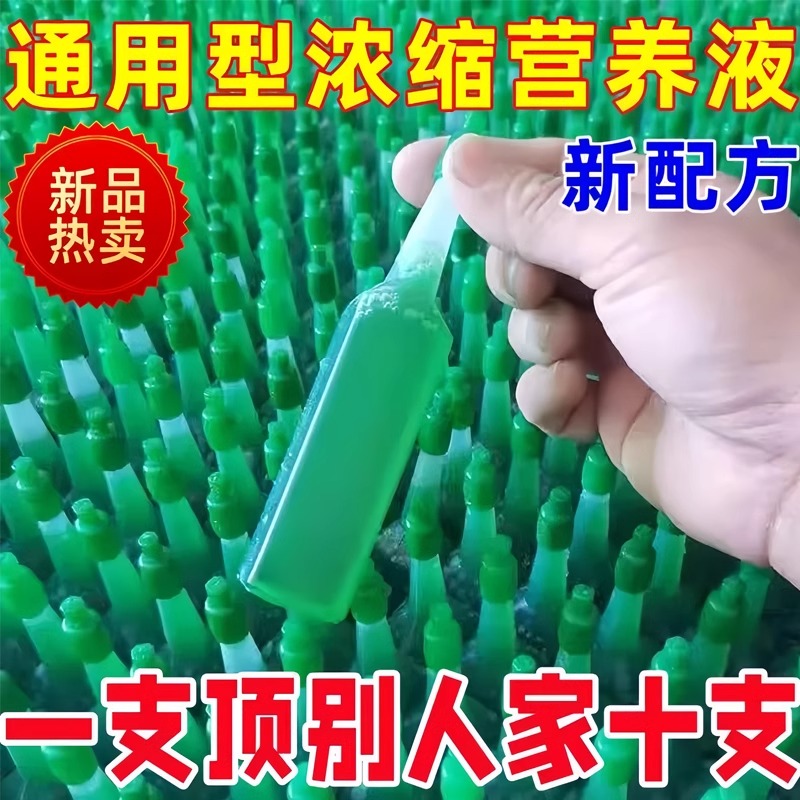 植物营养液通用型家用养花肥料