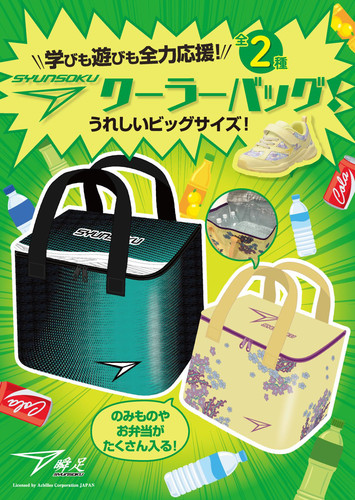 出口日单超大保温包防水折叠便携手提保冷包户外野餐包
