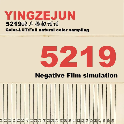 柯达Kodak 5219胶片模拟Lr预设像素蛋糕飞思C1预设PS调色后期滤镜