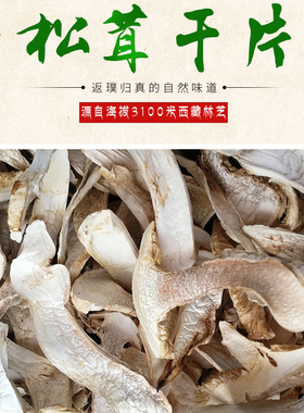 2025新货西藏林芝实体店波密鲁朗巴松措山货松茸干货干片100g包邮