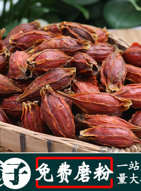 栀子500g 黄栀子枝子红栀子卤肉火锅炖菜上色香辛料调料 香料大全