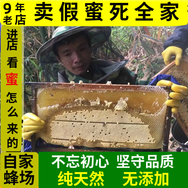 蜂蜜纯正天然农家自产野生深山成熟土蜂蜜100%无添加百花龙眼春蜜