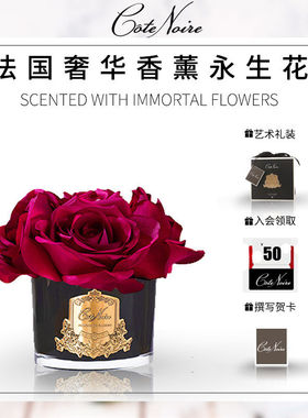 法国Cote Noire香薰花无火香氛花仿真永生花助眠安神轻奢生日礼物