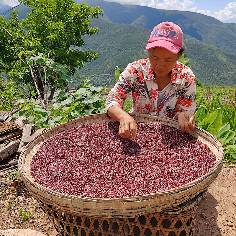 云南农家赤小豆自产新货赤小豆薏米粥软糯豆沙2025年9月份新货