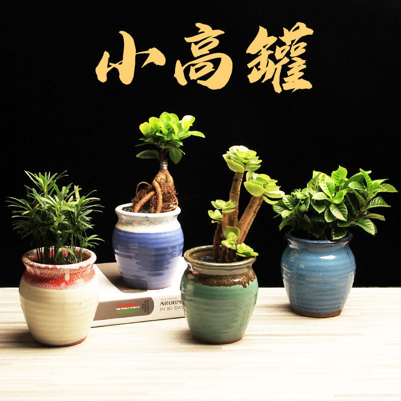 小高罐子绿植盆栽盆景创意花盆