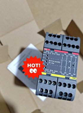 原装正品ABB RT7A安全继电器，2TLA010028R2议价