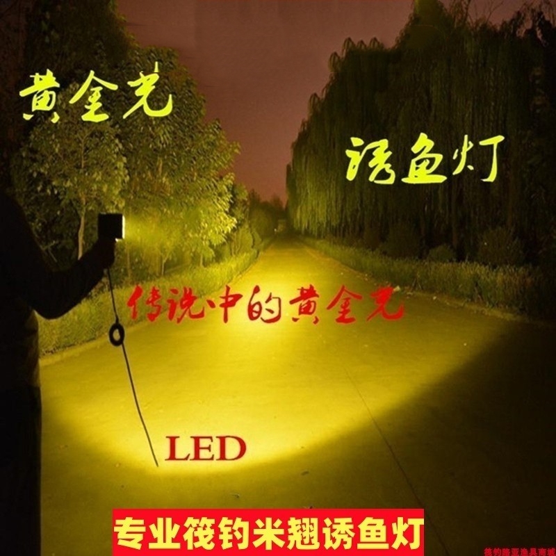 正品筏钓专用灯LED钓鱼路亚灯