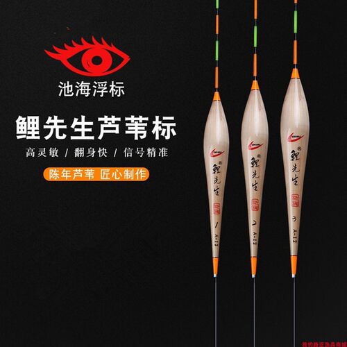 正品黄金眼鲤先生芦苇漂浮黑坑