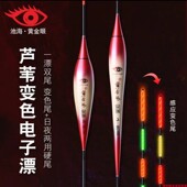 黄金眼咬钩变色电子漂日夜光两用硬尾芦苇纳米感应路滑钓鱼渔浮标