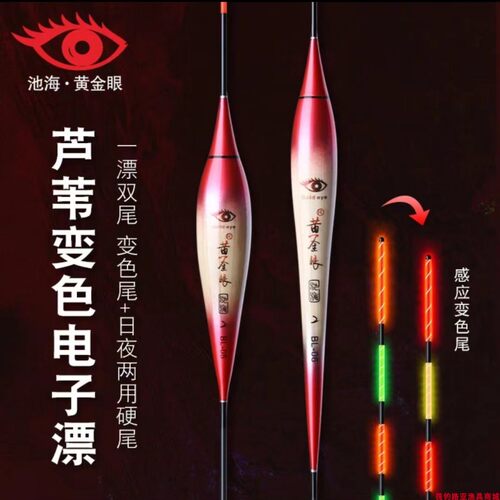 池海黄金眼咬钩变色夜钓电子漂
