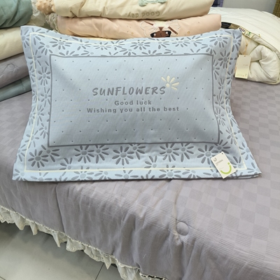 实体店建斌纯棉六层纱布吸汗透气情侣提花小清新信封大枕套一对装