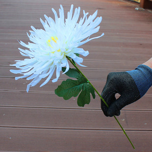花 单支假菊花祭祀用花清明节扫墓白菊花插花篮塑料菊花束上坟用