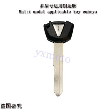 Z400 ZRX1200 ZXR250 ZX-6R/7R/9R/10R/12R/14R钥匙胚 可装芯片