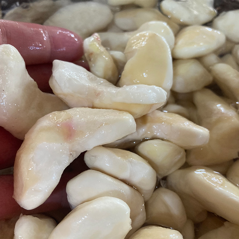 活水种植现剥鲜菱肉嫩菱角嘉兴南湖菱红菱生吃鲜甜脆甜浙江特产