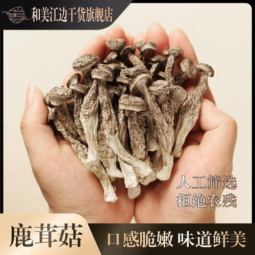 和美江边小鹿茸菇高山嫩仔菇新货菌菇干货营养炒菜煲汤年货礼袋