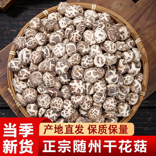 随州小花菇小香茹家用送礼干货肉厚香菇煲汤食材1.5-2公分剪脚