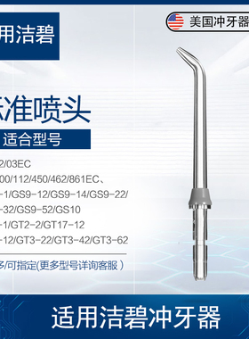 适用美国洁碧Waterpik冲牙器标准喷头JT100E灰色水牙线配件喷嘴