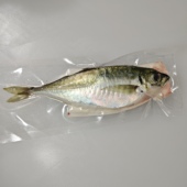 日料店专用 养殖竹荚鱼 居酒屋 刺身 养殖巴浪鱼 小竹荚鱼