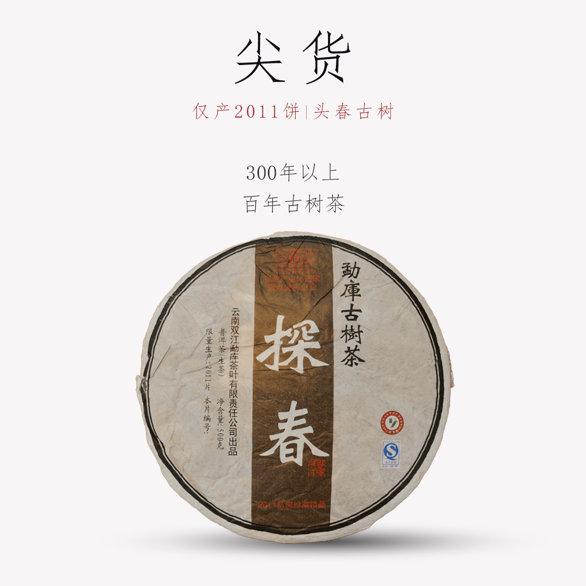勐库戎氏2011百年古树茶 探春500克普洱茶 玩家级收藏