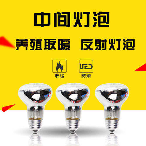 浴霸中间照明灯泡230V40W60WLED