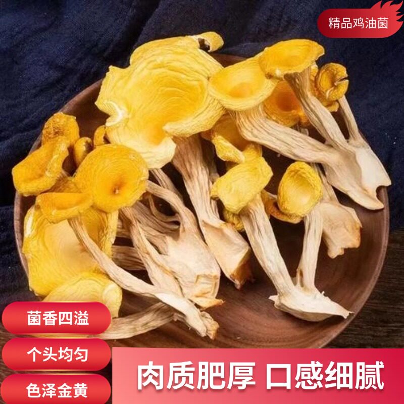 【麦浇芽】鸡油菌鸡蛋黄菌杏菌黄金菇干蘑菇煲汤食材包邮250g