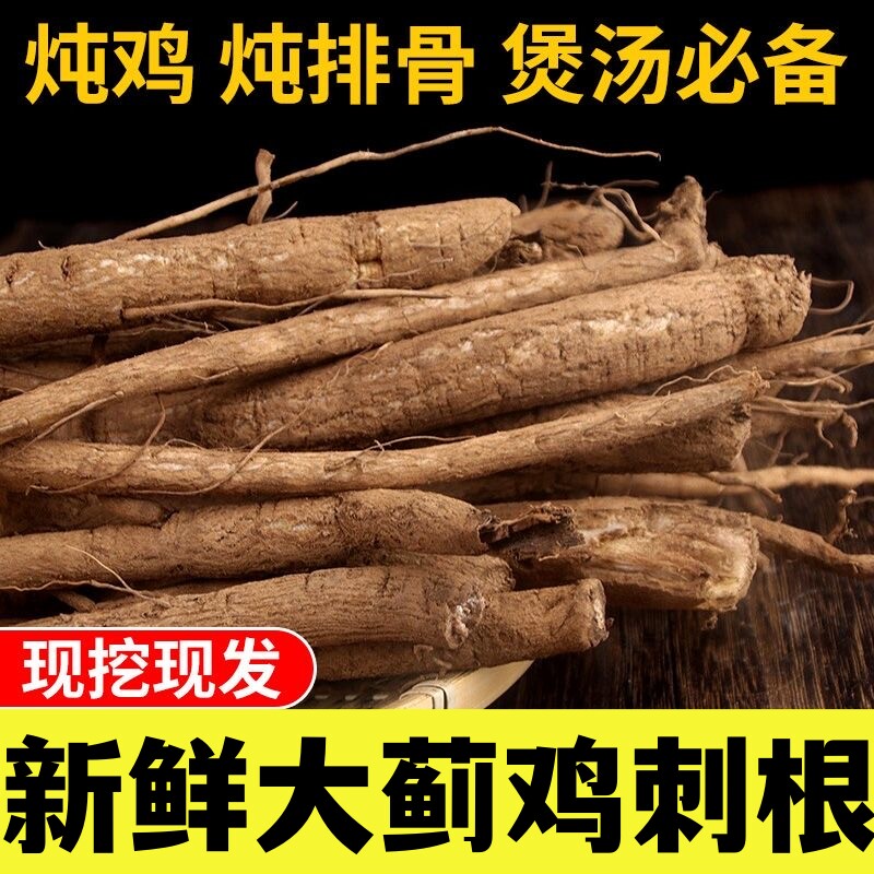 云南深山 食用大蓟煲汤食材 鸡刺根马刺根虎蓟现挖新鲜原产地包邮