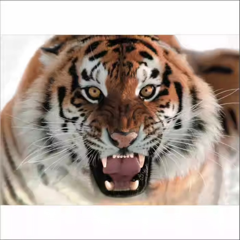 老虎海报动物猛虎头像客厅走廊墙贴装饰画利齿老虎贴画不干胶贴纸图片