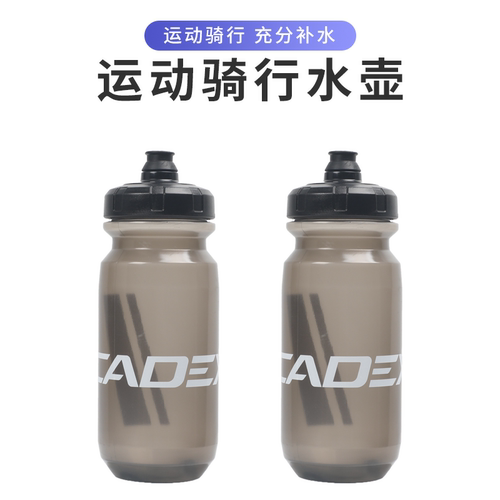 台湾GIANT捷安特水壶山地车公路自行车600毫升CADEX骑行运动水杯