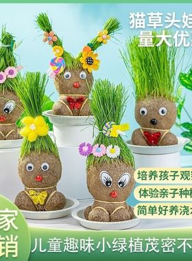 草头娃娃浇水头上长草人绿植长头发儿童好养种草幼儿园桌面小盆栽