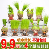 草头娃娃创意小盆栽桌面可爱植物趣味长草娃娃办公室好养水培绿植