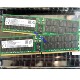 海力士 4800 64G2RX4 PC5 DDR5代 REG ECC服务器内存