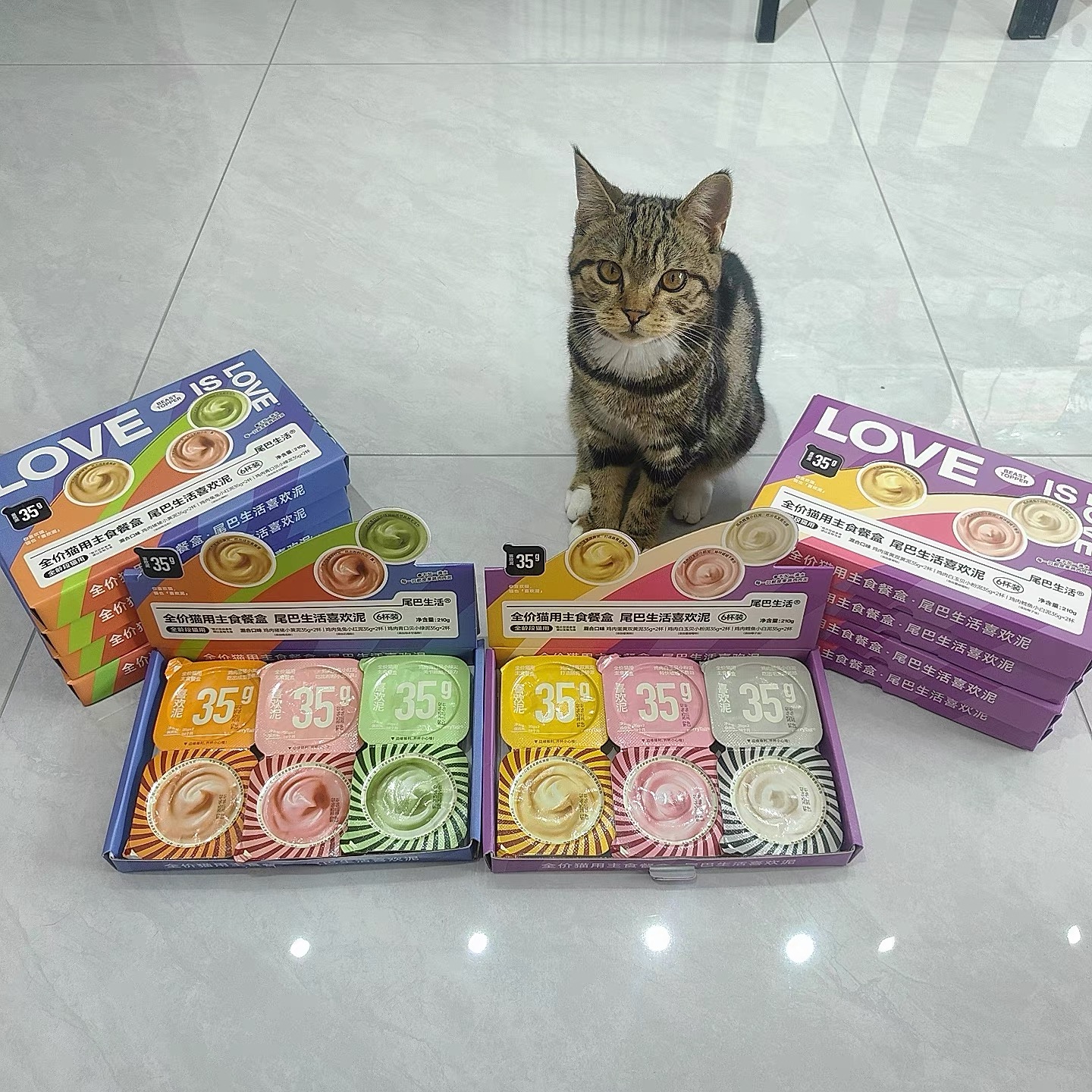 尾巴生活彩虹泥喜欢泥猫咪主食罐头成猫幼猫小克重一餐一杯主食罐