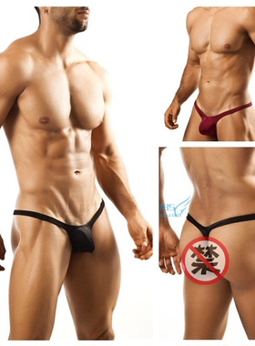 男士锦纶冰丝单丁单层薄款高弹力激凸飞鸟囊袋细带无痕性感T裤9色