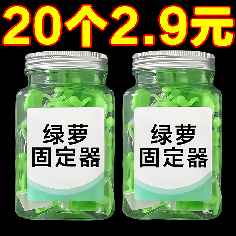 绿萝爬上神器爬墙上绿箩固定器绿植攀爬夹子墙上无痕挂钩粘爬藤杆