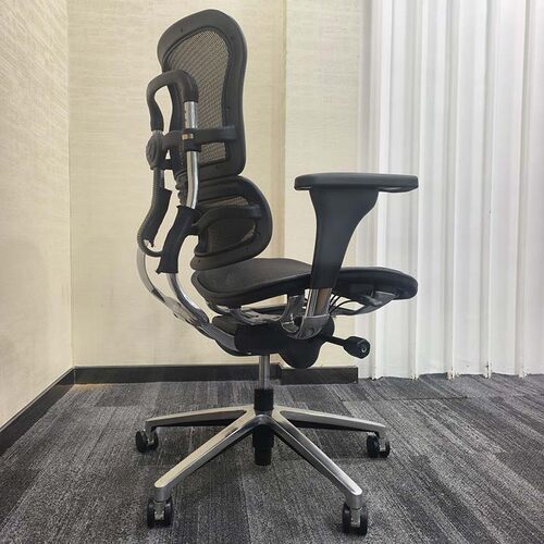 保友Ergonor金豪B人体工学椅高端豪华办公椅老板椅透气网椅学习椅