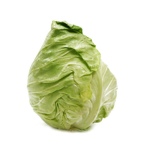 云南西双版纳农家自种蔬菜牛心甘蓝包菜卷心菜尖包菜沙拉包菜