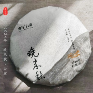 【晚来秋】福鼎白茶寿眉茶饼2024精品秋白露回甘清甜花果香显存茶